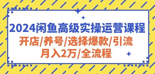 2024闲鱼高级实操运营课程：开店/养号/选择爆款/引流/月入2万/全流程-泡芙轻资产网创