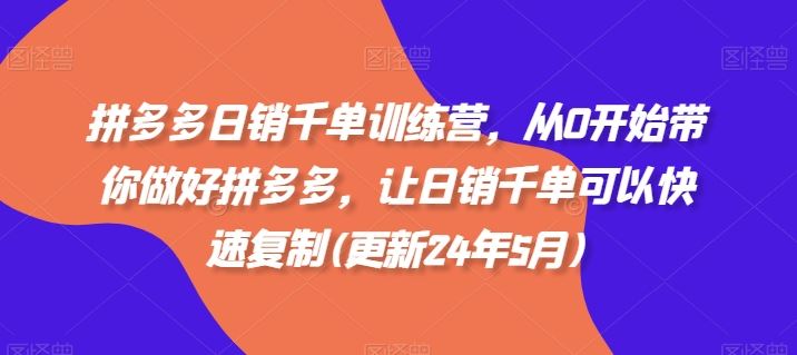 拼多多日销千单训练营，从0开始带你做好拼多多，让日销千单可以快速复制(更新24年5月)-泡芙轻资产网创