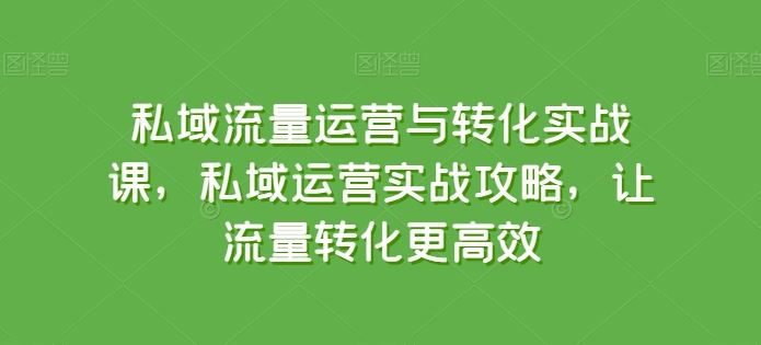 私域流量运营与转化实战课，私域运营实战攻略，让流量转化更高效-泡芙轻资产网创