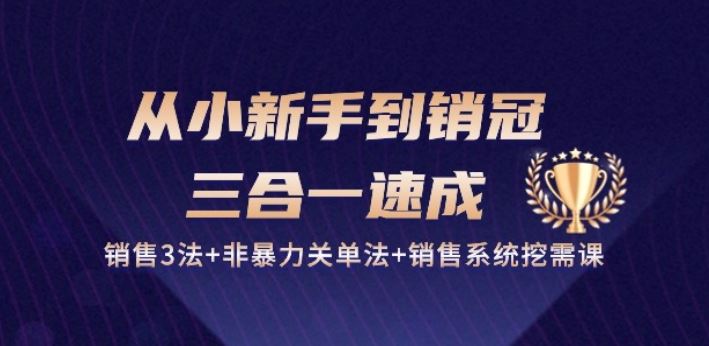 从小新手到销冠 三合一速成：销售3法+非暴力关单法+销售系统挖需课 (27节)-泡芙轻资产网创