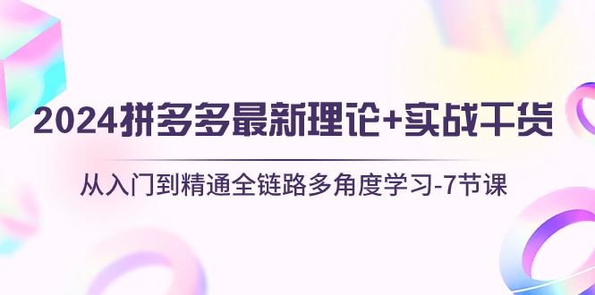 （10816期）2024拼多多 最新理论+实战干货，从入门到精通全链路多角度学习-7节课-泡芙轻资产网创