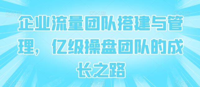 企业流量团队搭建与管理，亿级操盘团队的成长之路-泡芙轻资产网创