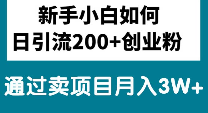 （10843期）新手小白日引流200+创业粉,通过卖项目月入3W+-泡芙轻资产网创