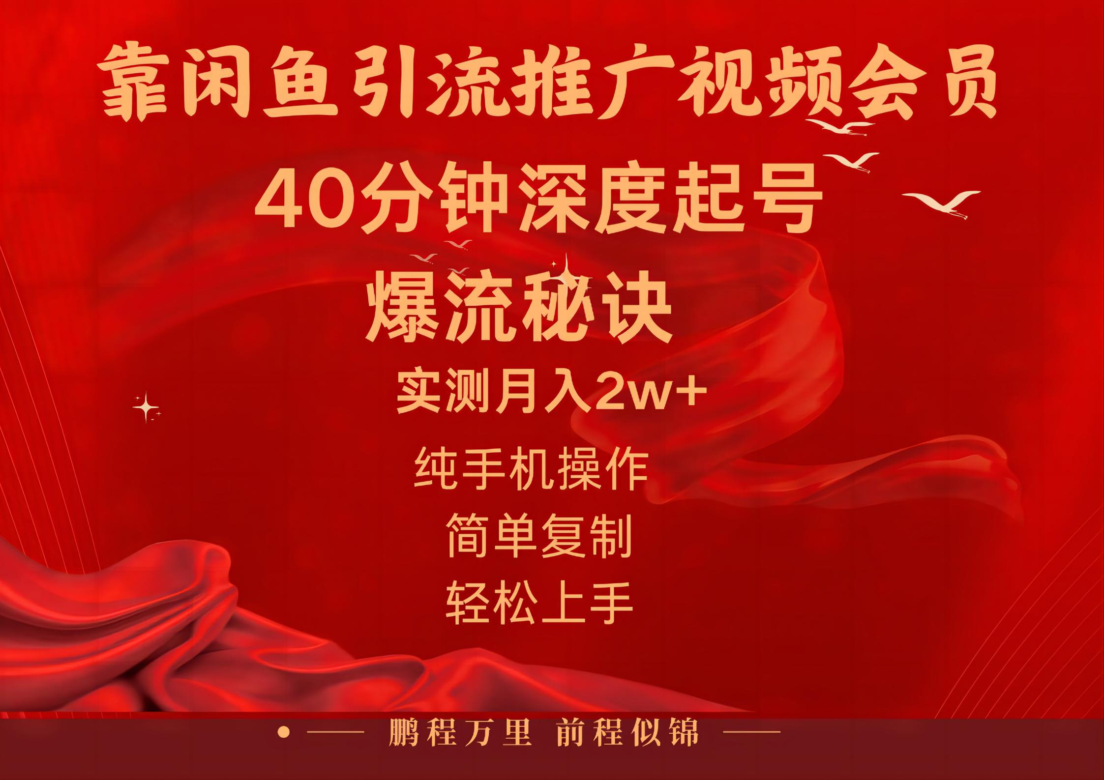 （10896期）闲鱼暴力引流推广视频会员，能做到日入2W+，操作简单-泡芙轻资产网创