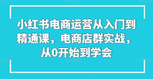 小红书电商运营从入门到精通课，电商店群实战，从0开始到学会-泡芙轻资产网创