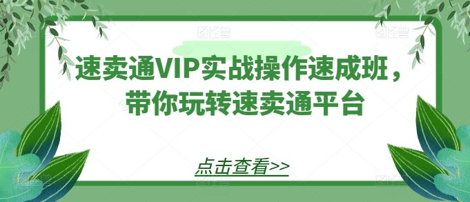 速卖通VIP实战操作速成班，带你玩转速卖通平台-泡芙轻资产网创