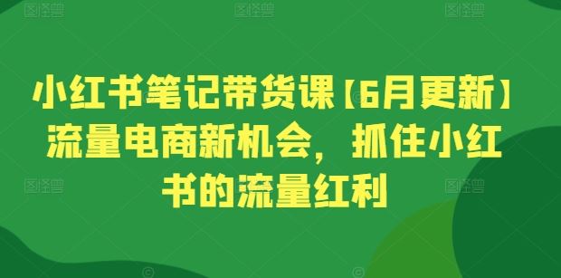 小红书笔记带货课【6月更新】流量电商新机会，抓住小红书的流量红利-泡芙轻资产网创