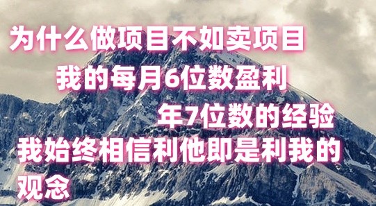 做项目不如卖项目，每月6位数盈利，年7位数经验-泡芙轻资产网创
