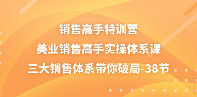 销售高手特训营，美业销售高手实操体系课，三大销售体系带你破局（38节）-泡芙轻资产网创