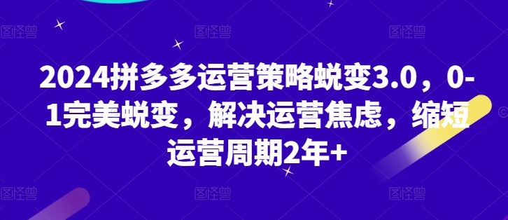 2024拼多多运营策略蜕变3.0，0-1完美蜕变，解决运营焦虑，缩短运营周期2年+-泡芙轻资产网创