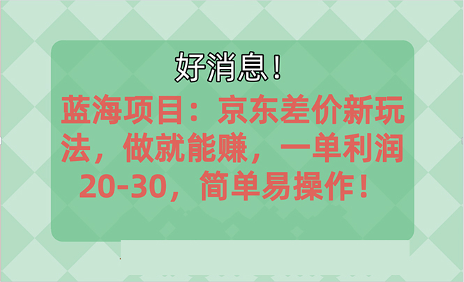 （10989期）越早知道越能赚到钱的蓝海项目：京东大平台操作，一单利润20-30，简单…-泡芙轻资产网创