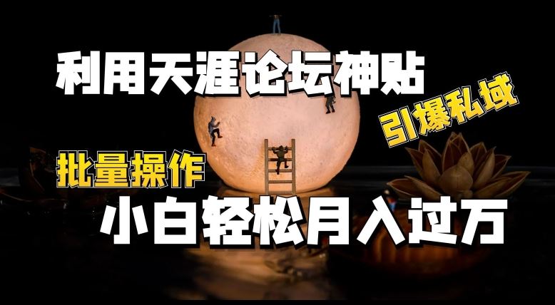 利用天涯论坛神贴，引爆私域，批量操作，小白轻松月入过w【揭秘】-泡芙轻资产网创