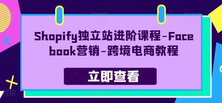 Shopify独立站进阶课程-Facebook营销-跨境电商教程-泡芙轻资产网创