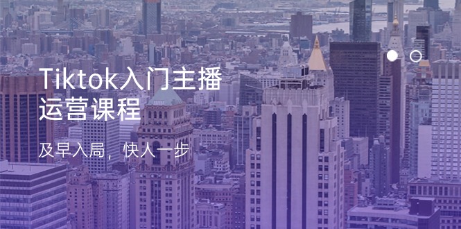 （11045期）Tiktok入门主播运营课程，及早入局，快人一步（11节）-泡芙轻资产网创