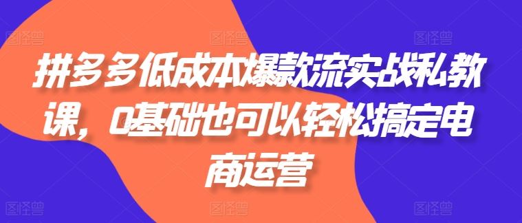 拼多多低成本爆款流实战私教课，0基础也可以轻松搞定电商运营-泡芙轻资产网创