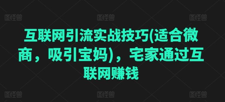 互联网引流实战技巧(适合微商，吸引宝妈)，宅家通过互联网赚钱-泡芙轻资产网创