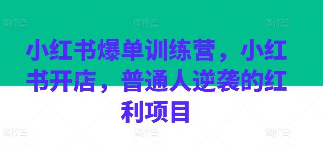 小红书爆单训练营，小红书开店，普通人逆袭的红利项目-泡芙轻资产网创