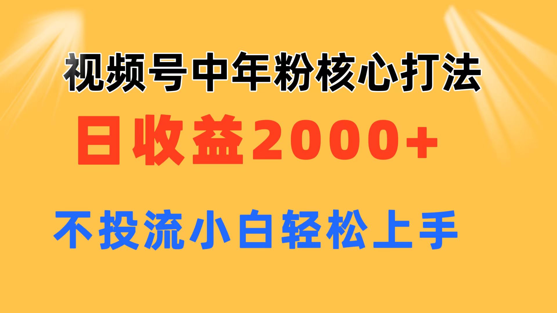 （11205期）视频号中年粉核心玩法 日收益2000+ 不投流小白轻松上手-泡芙轻资产网创