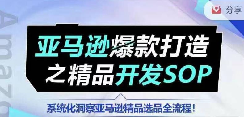 【训练营】亚马逊爆款打造之精品开发SOP，系统化洞察亚马逊精品选品全流程-泡芙轻资产网创