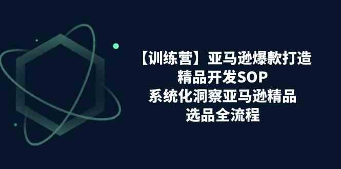 亚马逊爆款打造之精品开发SOP【训练营】，系统化洞察亚马逊精品选品全流程-泡芙轻资产网创