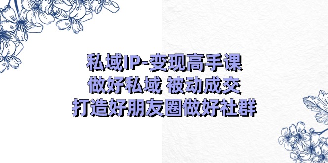私域IP变现高手课：做好私域被动成交，打造好朋友圈做好社群（18节）-泡芙轻资产网创