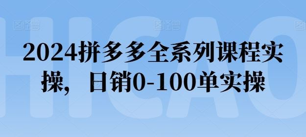 2024拼多多全系列课程实操，日销0-100单实操【必看】-泡芙轻资产网创