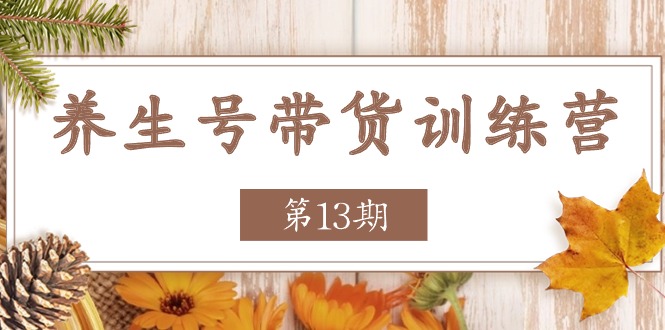 （11275期）养生号-带货训练营【第13期】收益更稳定的玩法，让你带货收益爆炸-泡芙轻资产网创