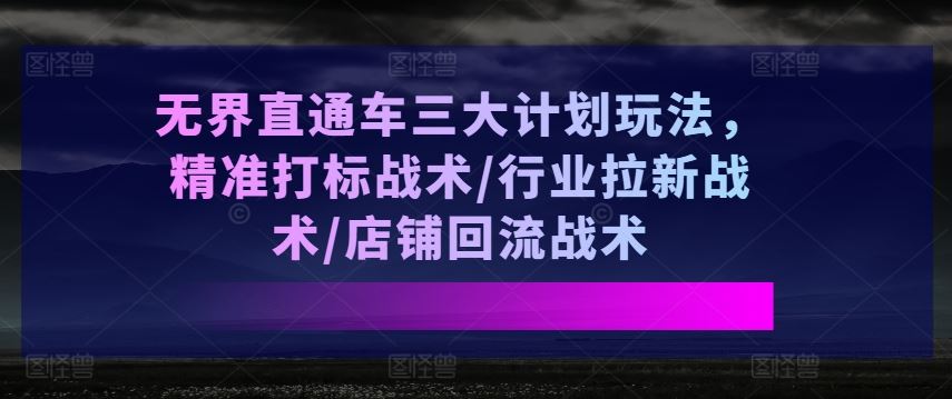 无界直通车三大计划玩法，精准打标战术/行业拉新战术/店铺回流战术-泡芙轻资产网创