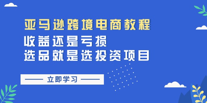 （11432期）亚马逊跨境电商教程：收益还是亏损！选品就是选投资项目-泡芙轻资产网创