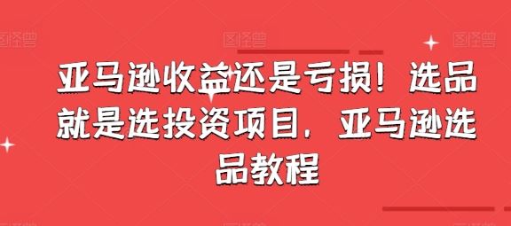 亚马逊收益还是亏损！选品就是选投资项目，亚马逊选品教程-泡芙轻资产网创
