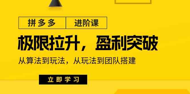 拼多多进阶课：极限拉升/盈利突破：从算法到玩法 从玩法到团队搭建（18节）-泡芙轻资产网创