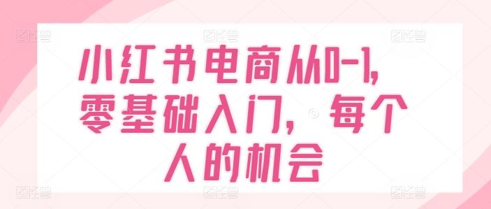 小红书电商从0-1，零基础入门，每个人的机会-泡芙轻资产网创