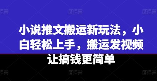 小说推文搬运新玩法，小白轻松上手，搬运发视频让搞钱更简单-泡芙轻资产网创
