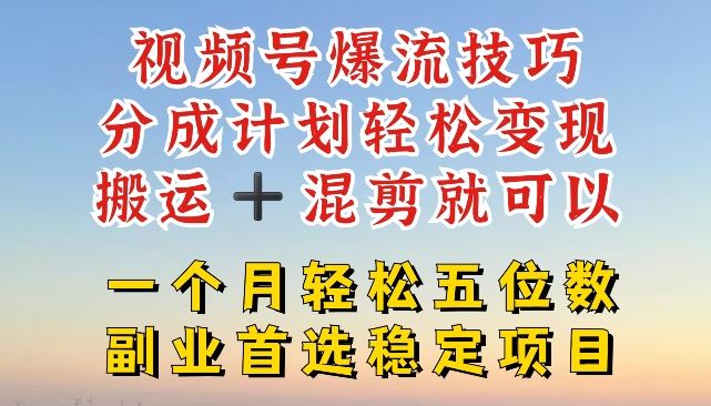 视频号爆流技巧，分成计划轻松变现，搬运 +混剪就可以，一个月轻松五位数稳定项目【揭秘】-泡芙轻资产网创