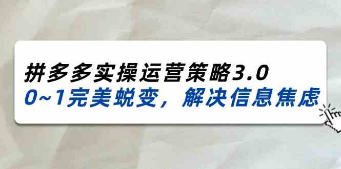 2024-2025拼多多实操运营策略3.0，0~1完美蜕变，解决信息焦虑（38节）-泡芙轻资产网创