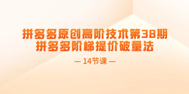 （11704期）拼多多原创高阶技术第38期，拼多多阶梯提价破量法（14节课）-泡芙轻资产网创