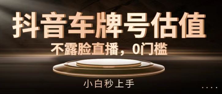 抖音车牌号估值，不露脸直播，0门槛，小白秒上手【揭秘】-泡芙轻资产网创