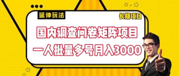 国内调查问卷矩阵项目，一人批量多号月入3000【揭秘】-泡芙轻资产网创