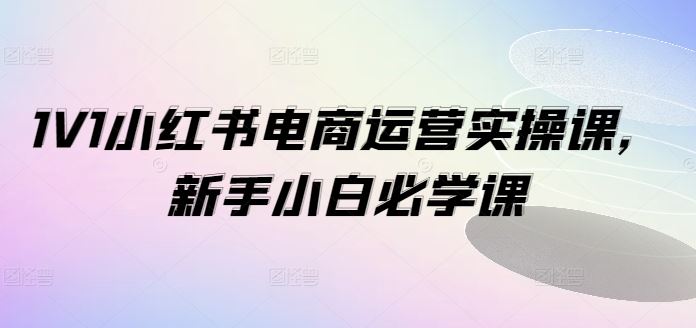 1V1小红书电商运营实操课，新手小白必学课-泡芙轻资产网创