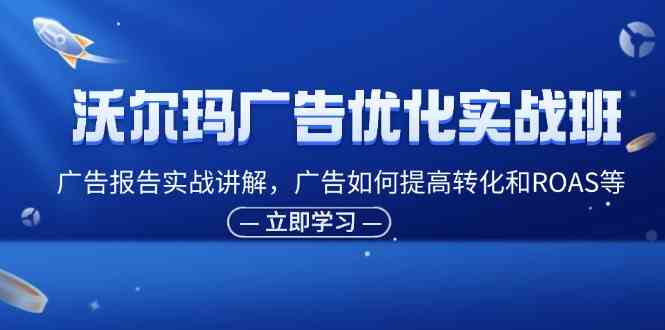 沃尔玛广告优化实战班，广告报告实战讲解，广告如何提高转化和ROAS等-泡芙轻资产网创