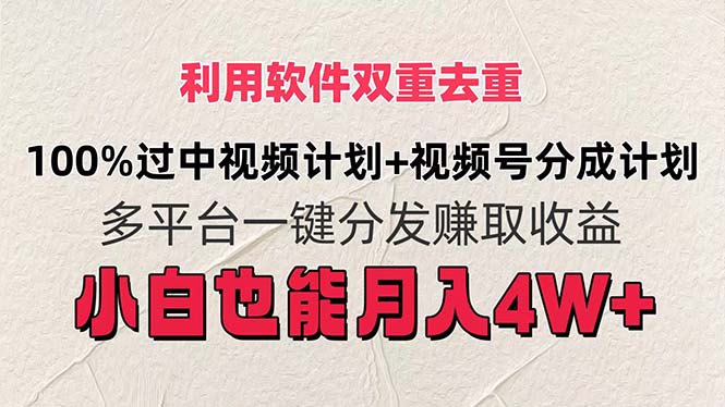 （11862期）利用软件双重去重，100%过中视频+视频号分成计划小白也可以月入4W+-泡芙轻资产网创