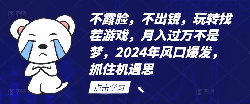 不露脸，不出镜，玩转找茬游戏，月入过万不是梦，2024年风口爆发，抓住机遇【揭秘】-泡芙轻资产网创