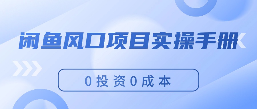 （11923期）闲鱼风口项目实操手册，0投资0成本，让你做到，月入过万，新手可做-泡芙轻资产网创