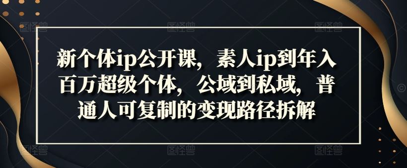 新个体ip公开课，素人ip到年入百万超级个体，公域到私域，普通人可复制的变现路径拆解-泡芙轻资产网创