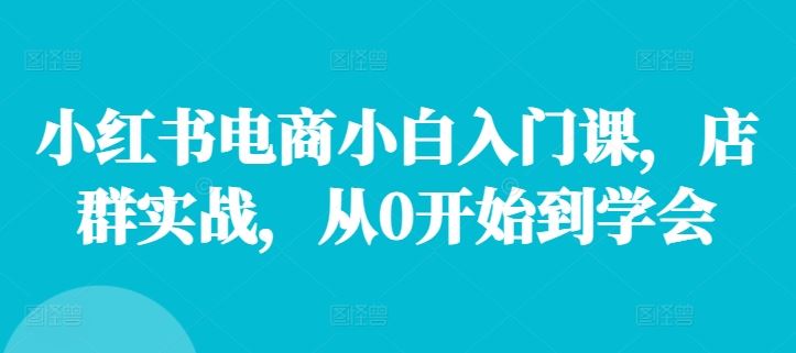 小红书电商小白入门课，店群实战，从0开始到学会-泡芙轻资产网创