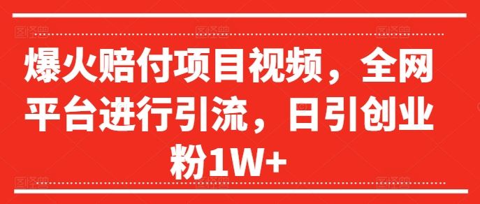 爆火赔付项目视频，全网平台进行引流，日引创业粉1W+【揭秘】-泡芙轻资产网创