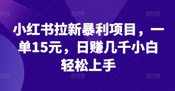 小红书拉新暴利项目，一单15元，日赚几千小白轻松上手【揭秘】-泡芙轻资产网创