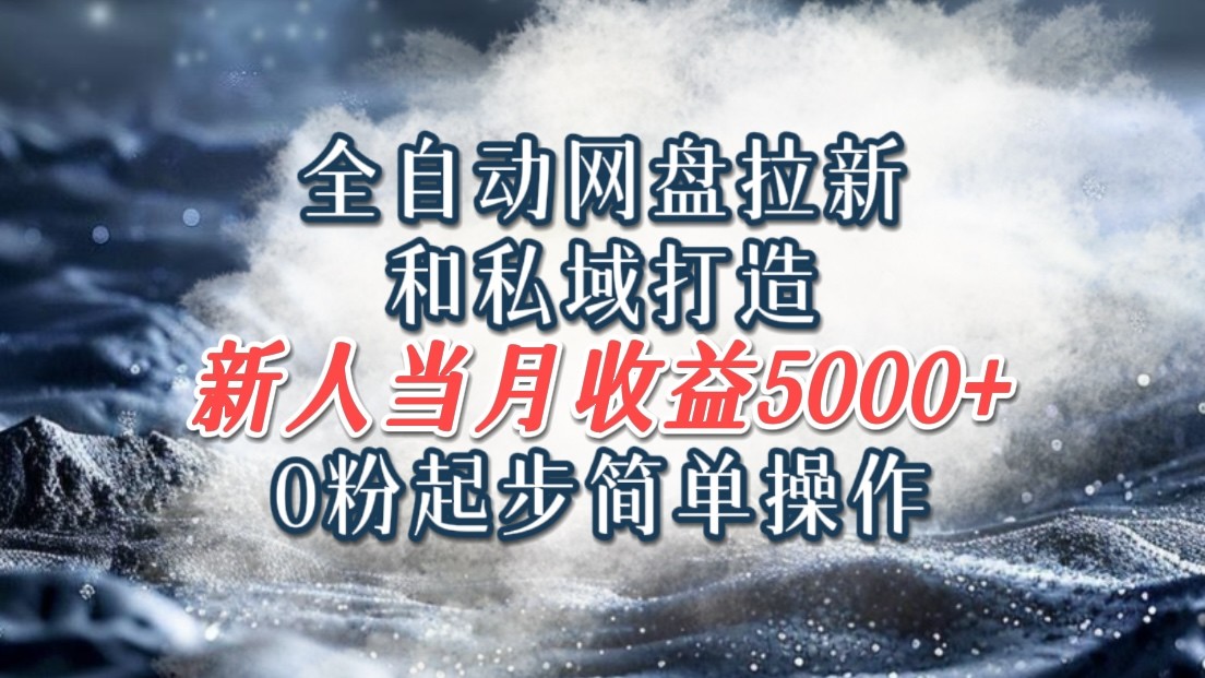 全自动网盘拉新和私域打造，0粉起步简单操作，新人入门当月收益5000以上-泡芙轻资产网创