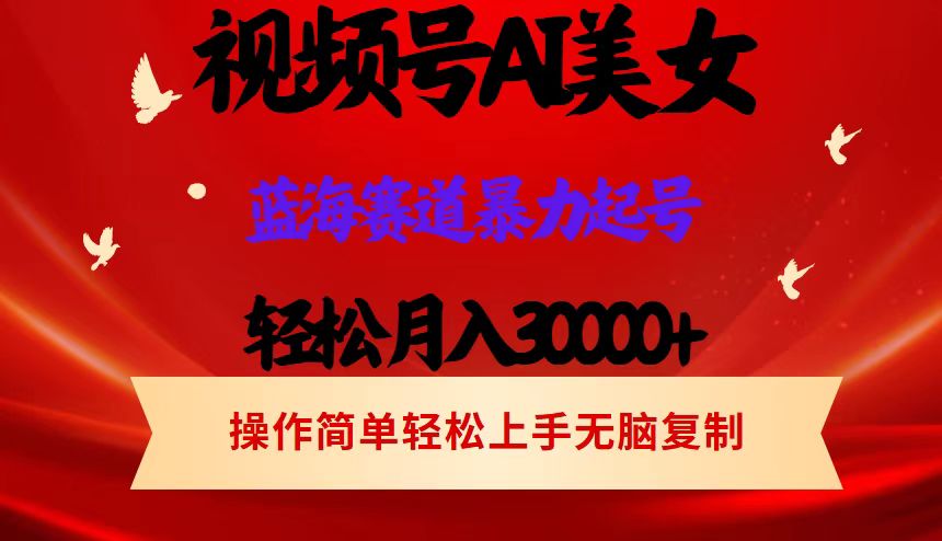 （12178期）视频号AI美女跳舞，轻松月入30000+，蓝海赛道，流量池巨大，起号猛，当…-泡芙轻资产网创
