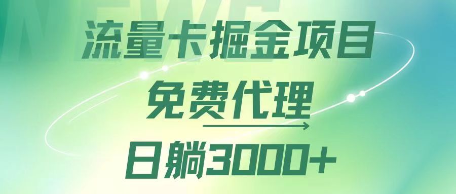 （12321期）流量卡掘金代理，日躺赚3000+，变现暴力，多种推广途径-泡芙轻资产网创